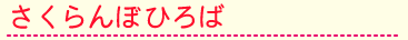 さくらんぼひろば